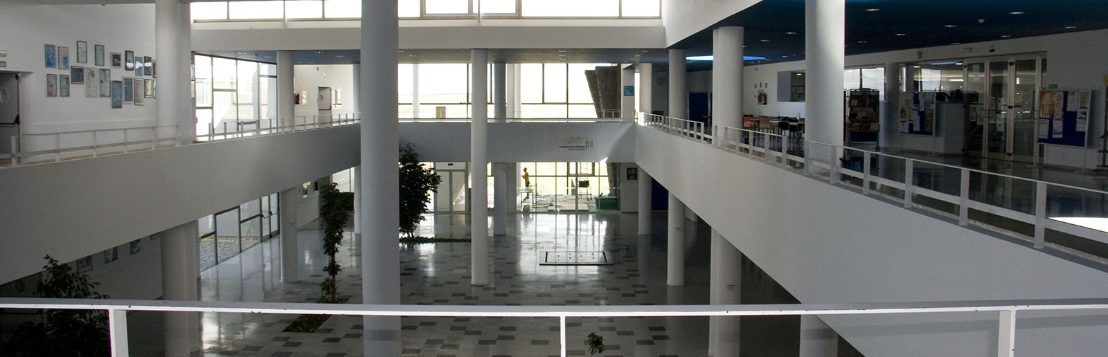docente