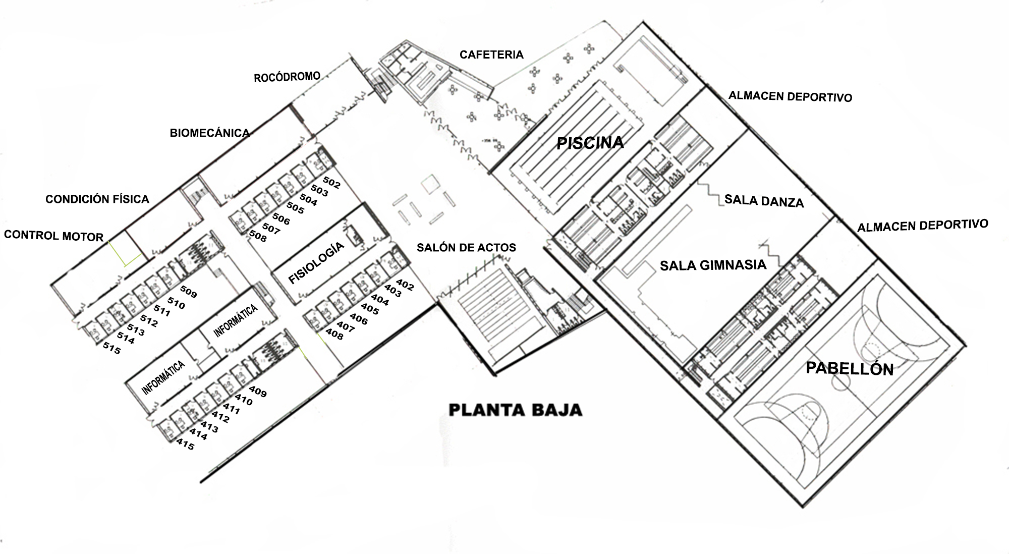 primera planta